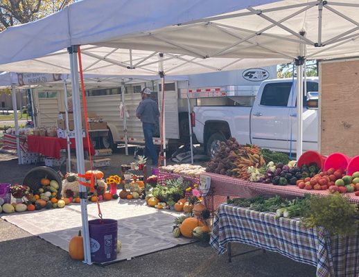 The Air-O Fresh booth at the Cheyenne market, full of squash, pumpkins, beets and tomatoes
